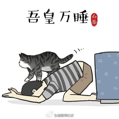 1139564 小王子