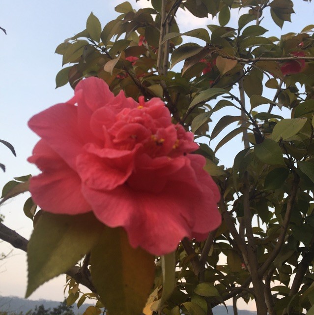 1140471 时光