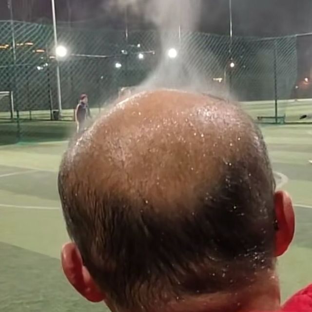 1140670 鱼