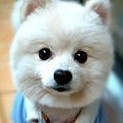 1141417 追风少年马大海