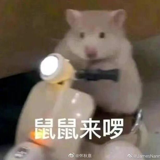 1141509 十年