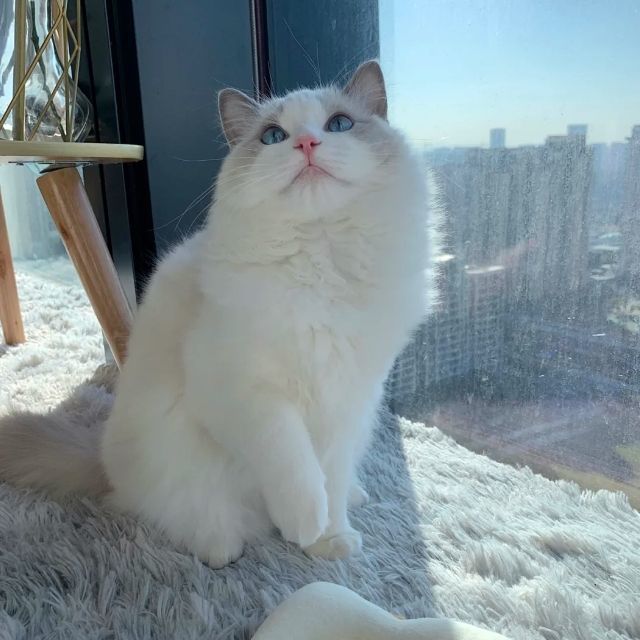 1141531 轨迹