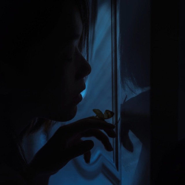 1142710533 难逃