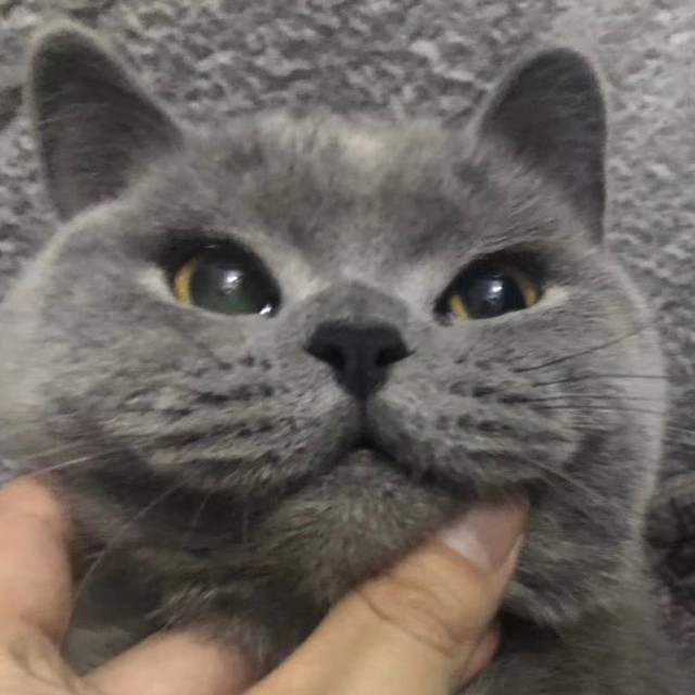 1142751 危险分子ي