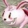 1143250 万里狂沙