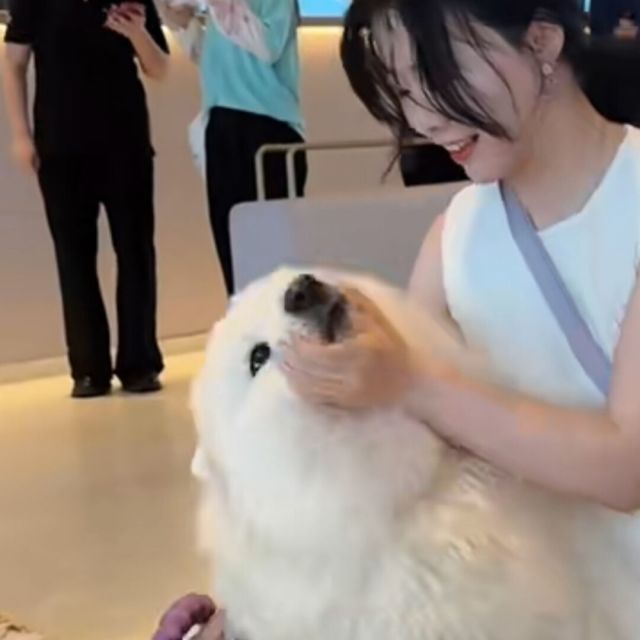 1143732 尛 羴