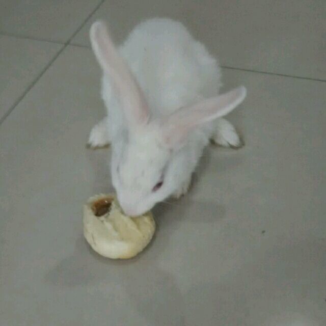 1144266 刚好遇见你