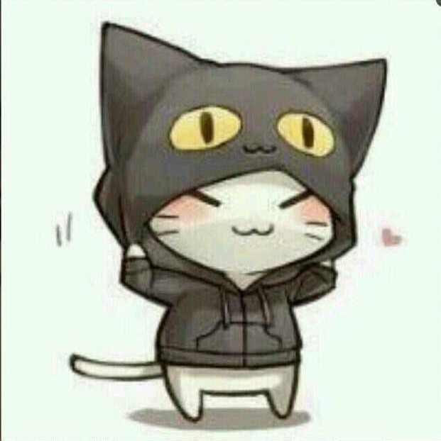 1144453 风月宝鉴