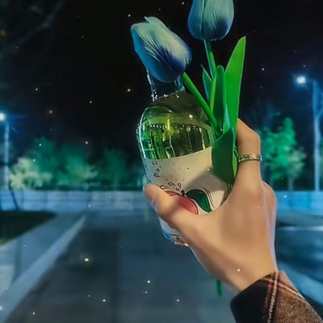 1144645 左心