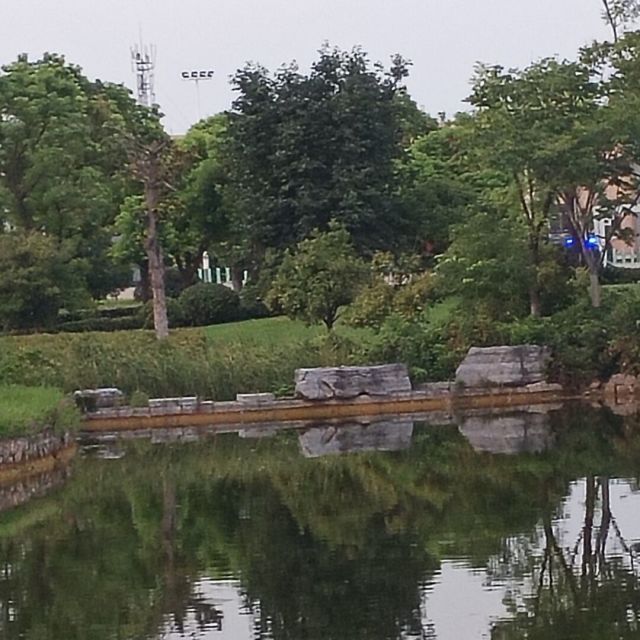 1145245 忘了