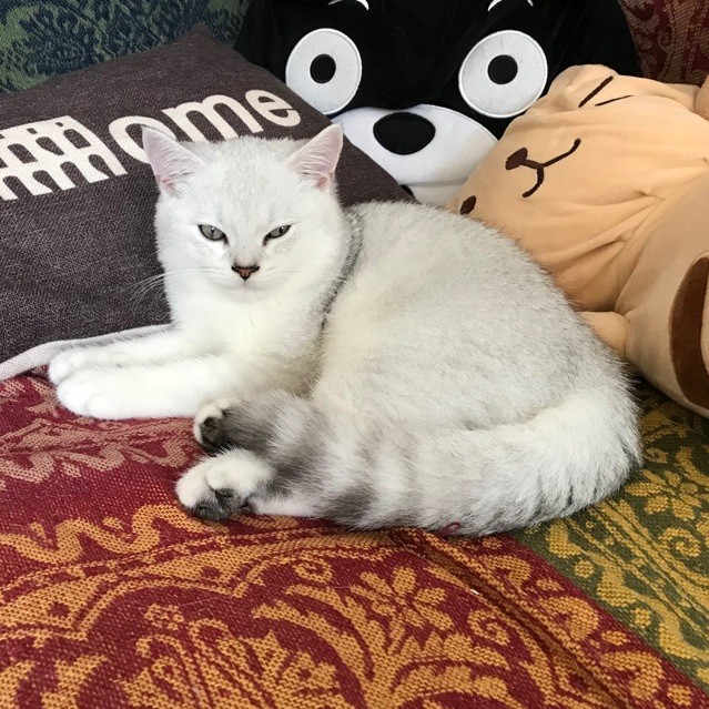 1145417 某人
