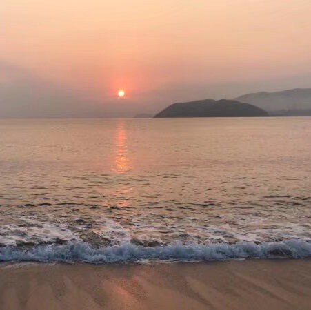 1146166 海笑