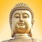 1146304 落叶在风中