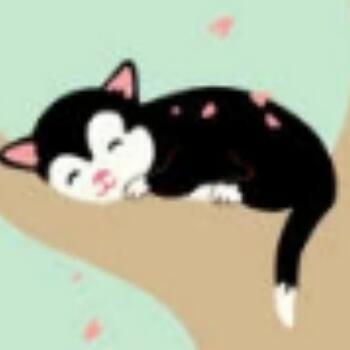 1146341 jessie
