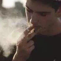 1147848 alin