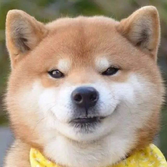 1148344622 袁哈哈 ^