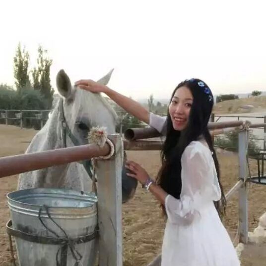 1148740 伊诺淳