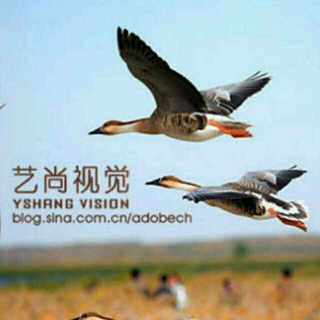 114880 雁渡寒潭