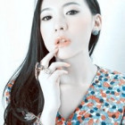1149065 太阳花