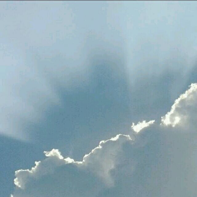 1149327 吴