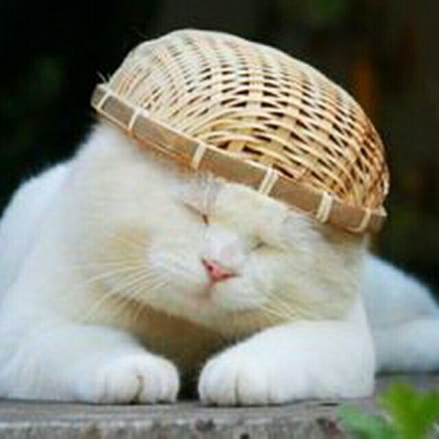 1149492 水晶心