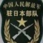 114950 雨后的小树林