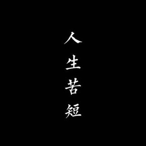 1150110 欧美国际男装