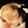 1150440 christina w