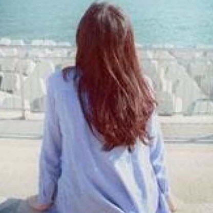 1150752 燕子