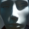 1150787 STEVEN