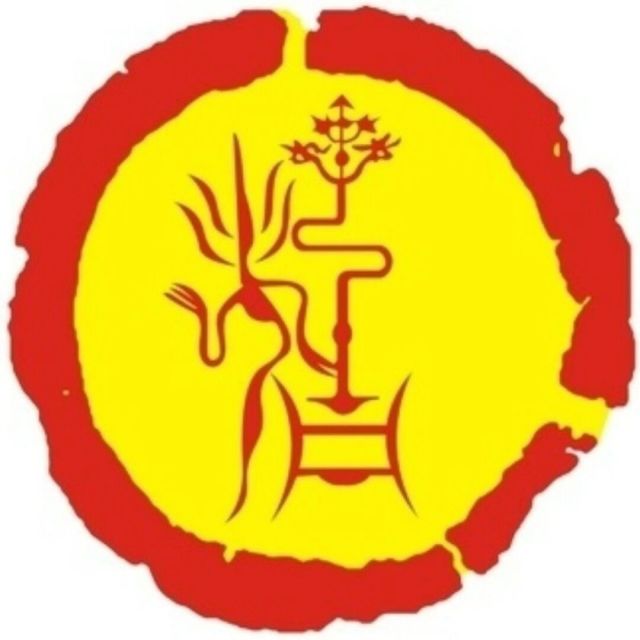 1151373 萝卜枣儿