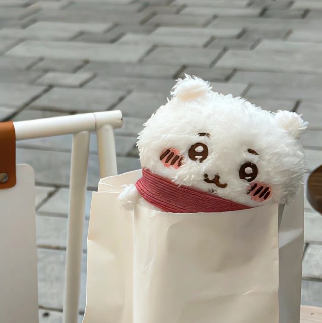 1151579 嘎咪喔の