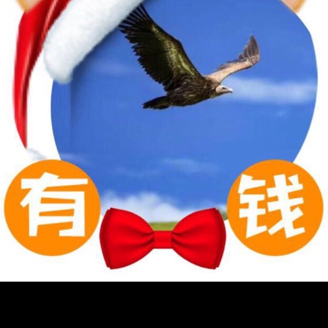 1151605 翱翔