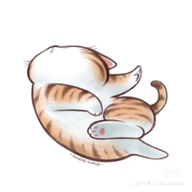 1151659 小猫