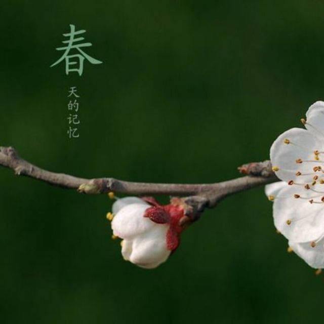 1151825 津桥春水浸红霞