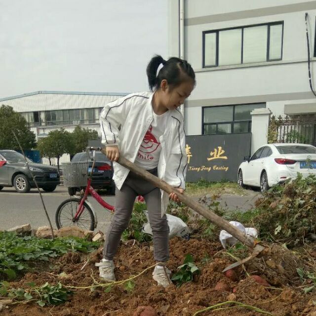 1152625 索性如此