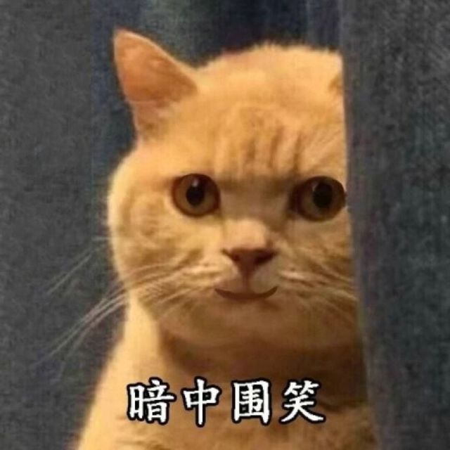 115311 树林