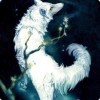 1153265 海边微风起、等风也等你。