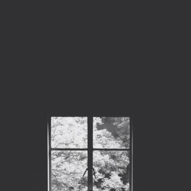 1153717 L 悟空