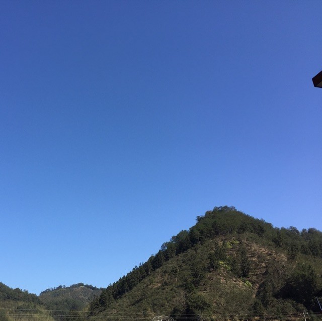 1154476 墨初、