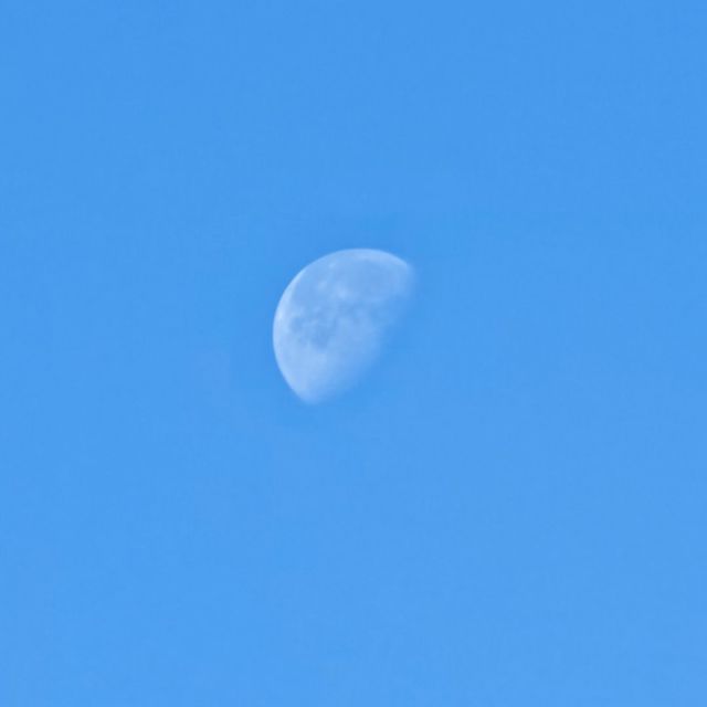 115534 那个我