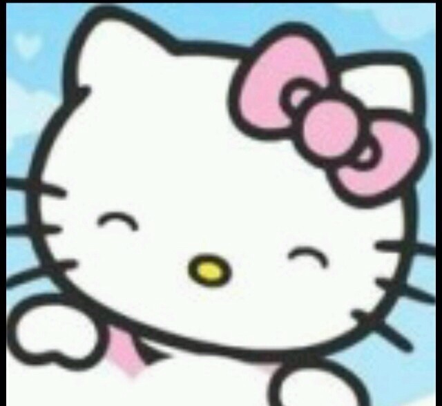 1155566 kitty