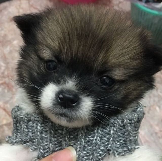 1155805 愿世界充满爱
