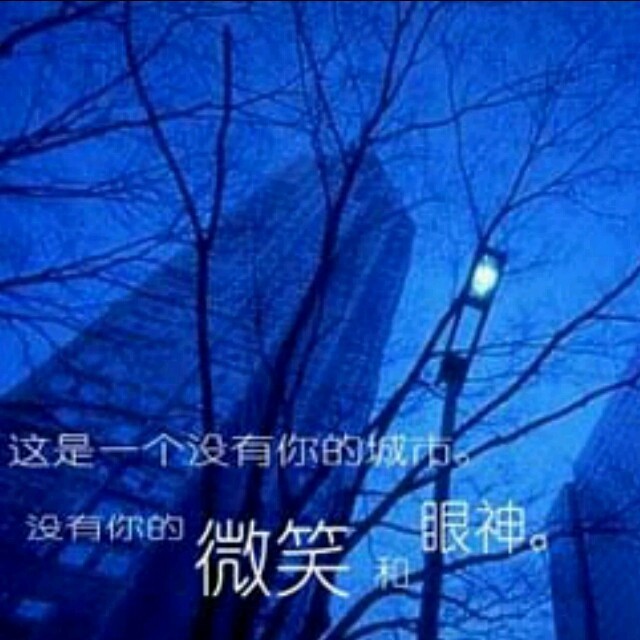 1155970 天涯孤旅