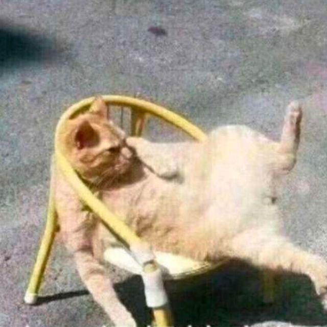 1156030 番薯仔
