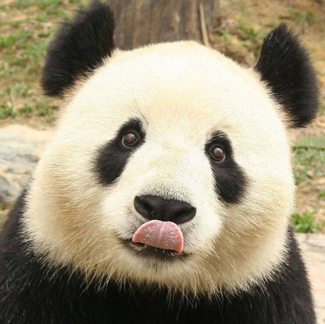 1156652 别用搜狗搜我