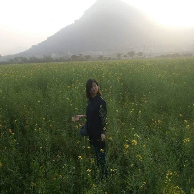 1157111 凌筱