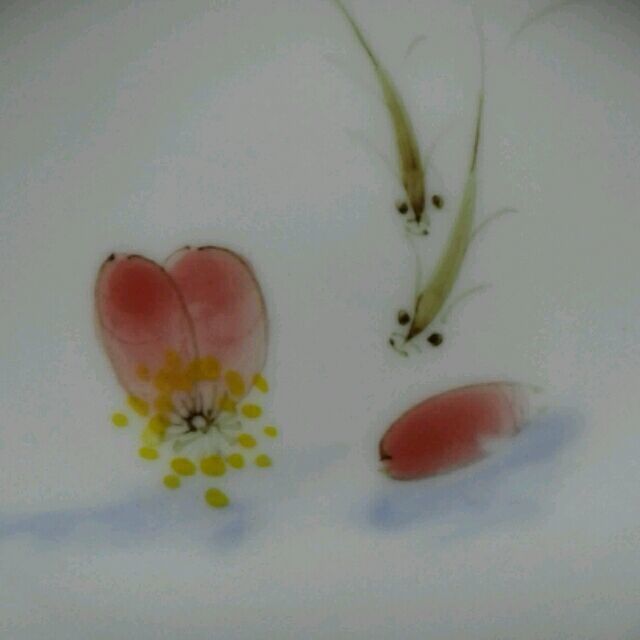 1157406 小鱼儿