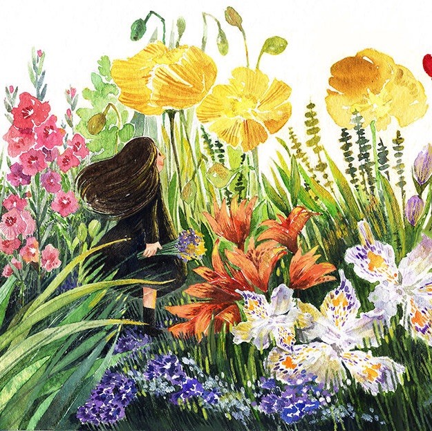 1157421 木芙蓉