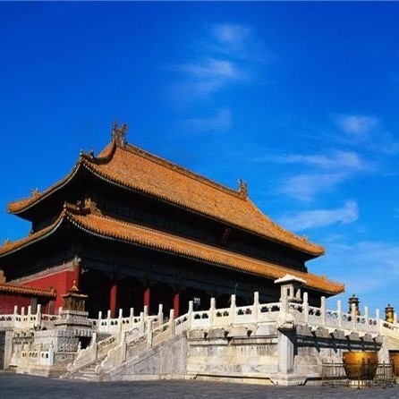 1157788 浴火之凰